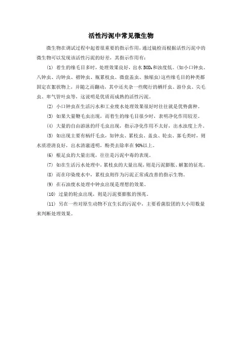 污水处理常见微生物高清晰照片及说明