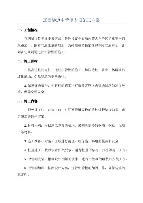 辽西隧道中管棚专项施工方案