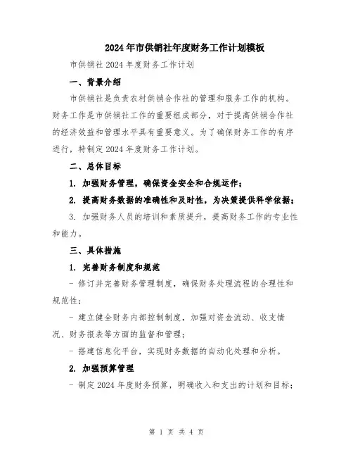 2024年市供销社年度财务工作计划模板