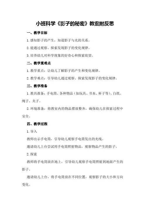 小班科学《影子的秘密》教案附反思