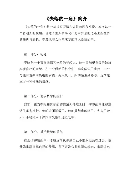 《失落的一角》简介
