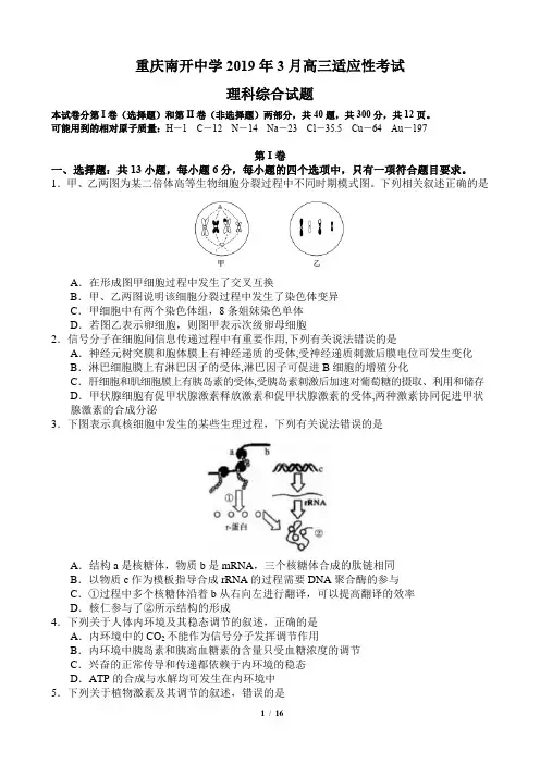 重庆南开中学2019年3月高三适应性考试理科综合试题及答案