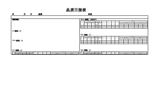 标准品质日报表
