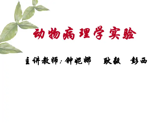 病理学实验