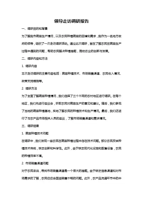 领导走访调研报告
