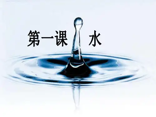 (三上)科学实用授课优秀课件-4.1水｜教科版PPT(18页)