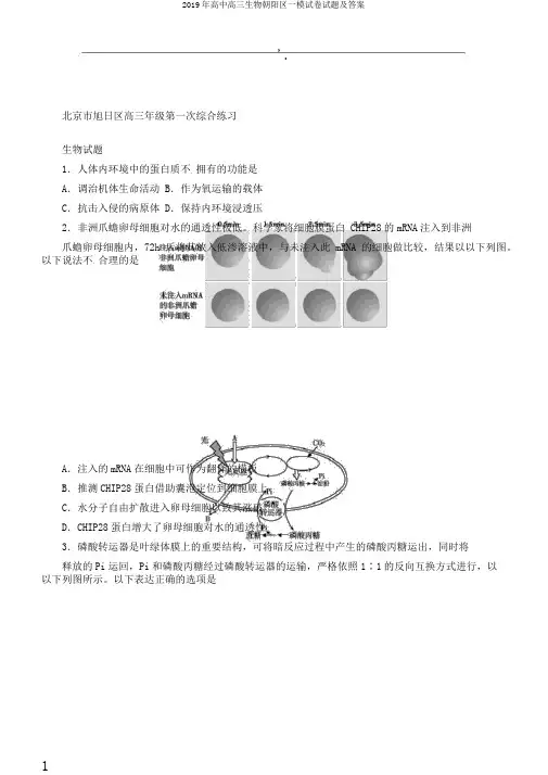 2019年高中高三生物朝阳区一模试卷试题及答案