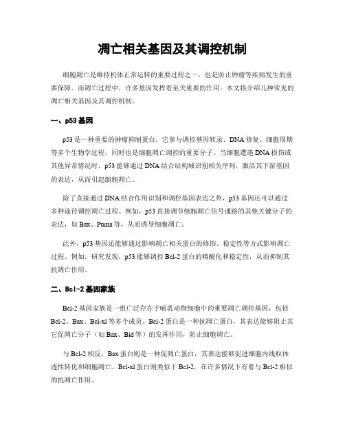 凋亡相关基因及其调控机制