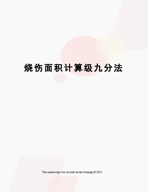 烧伤面积计算级九分法