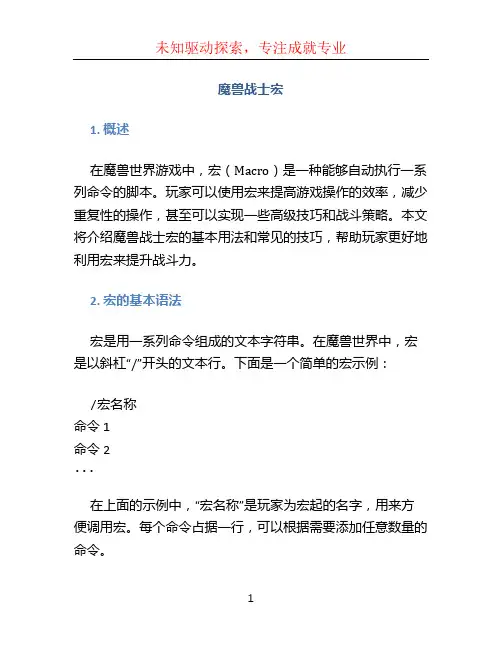 魔兽战士宏 (2)