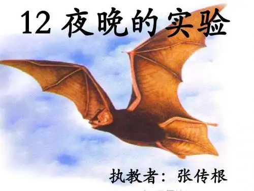 《夜晚的实验》PPT课件