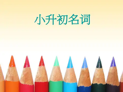 小升初英语复习之名词.ppt