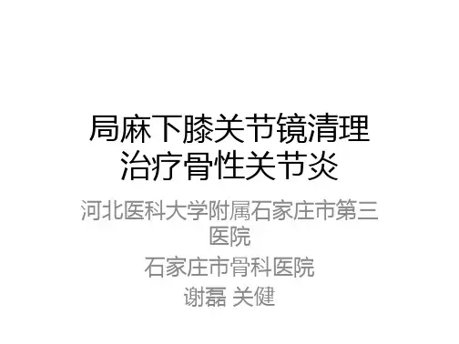 学习_膝关节镜清理6