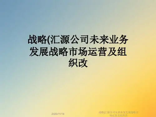 战略(汇源公司未来业务发展战略市场运营及组织改