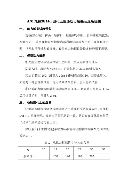 承载力原位测试报告