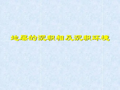 2地层的沉积相及沉积环境