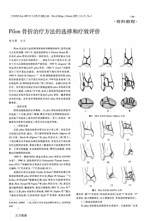 Pilon骨折治疗方法的选择和疗效评价