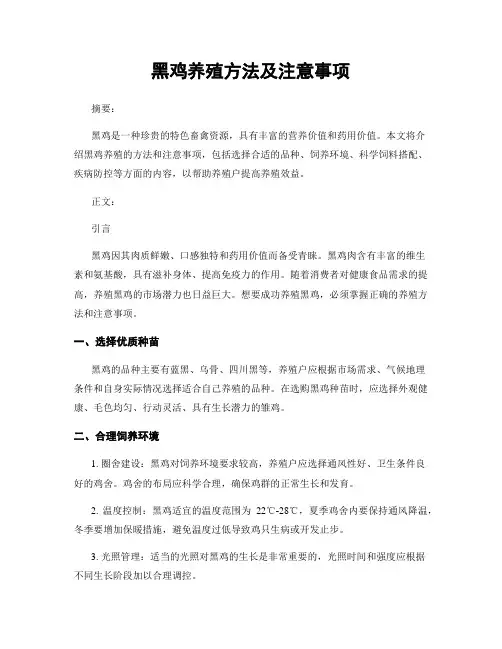 黑鸡养殖方法及注意事项