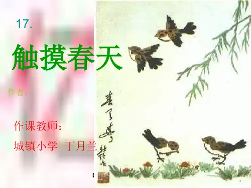 【精品PPT】《触摸春天》ppt课件