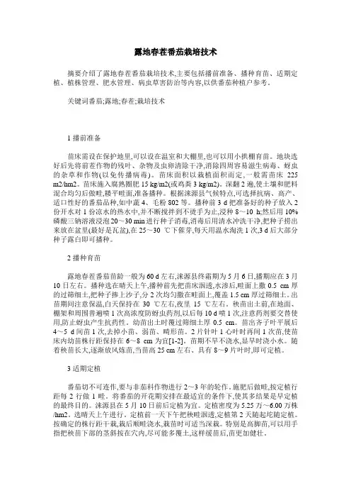 露地春茬番茄栽培技术