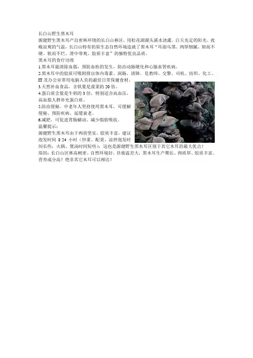长白山野生黑木耳功效