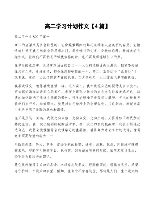 高二学习计划作文【4篇】