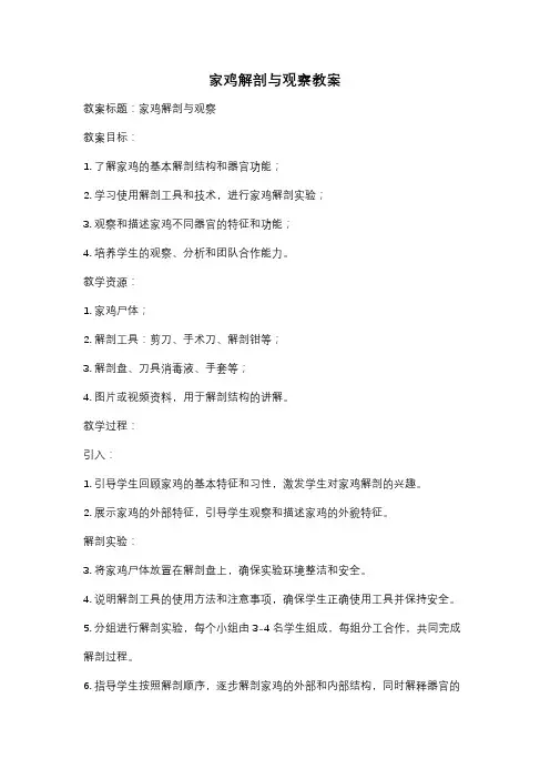 家鸡解剖与观察教案