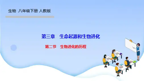 人教版八年级生物下册作业课件 第三章 生命起源和生物进化第二节 生物进化的历程