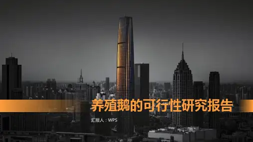 养殖鹅的可行性研究报告