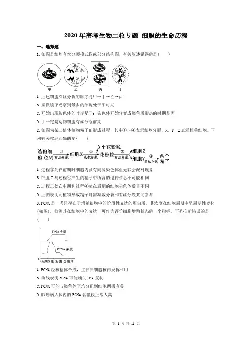 【高考二轮】2020年高考生物二轮专题 细胞的生命历程 25题(含答案解析)