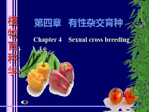 常规杂交育种ppt课件
