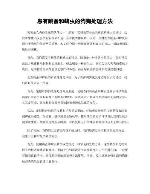 患有跳蚤和蜱虫的狗狗处理方法