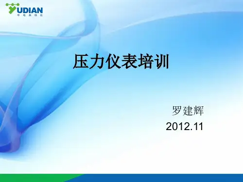 压力仪表应用培训教程