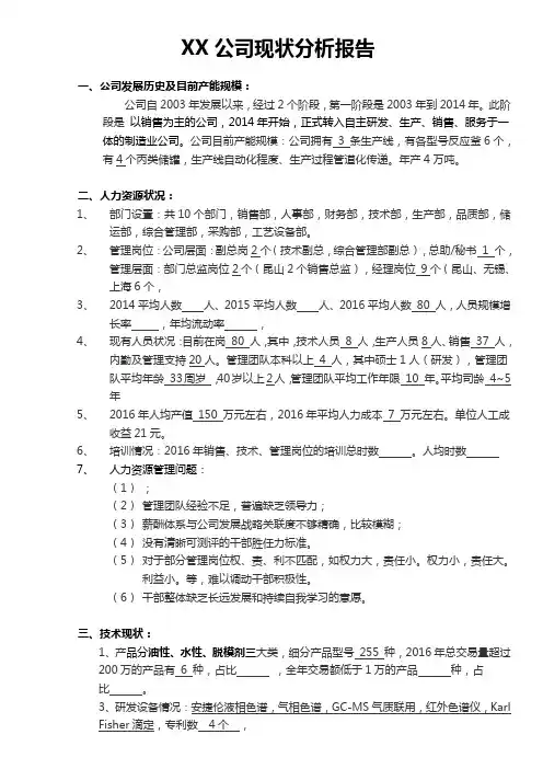 公司现状分析报告 2
