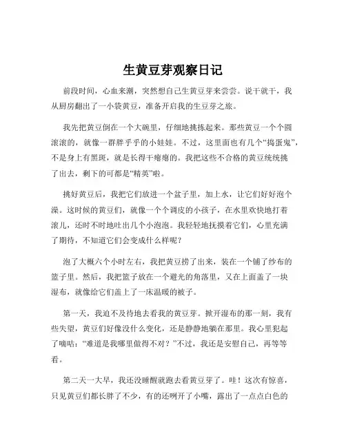 生黄豆芽观察日记