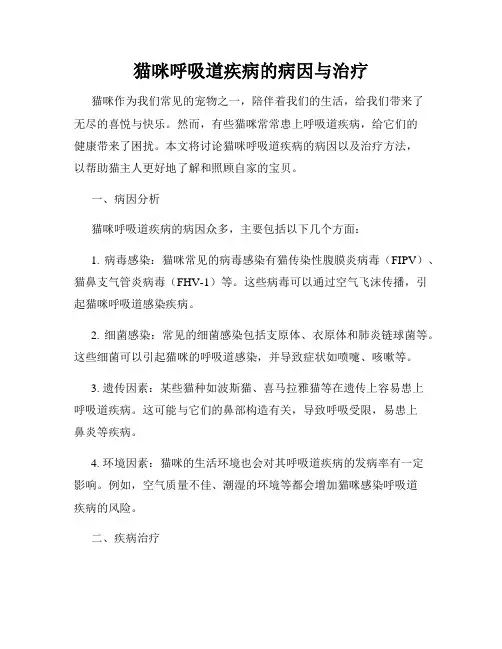 猫咪呼吸道疾病的病因与治疗