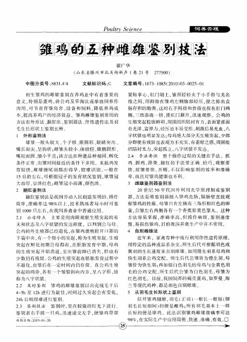 雏鸡的五种雌雄鉴别技法