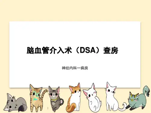 脑血管造影术(DSA)查房