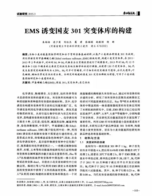 EMS诱变国麦301突变体库的构建