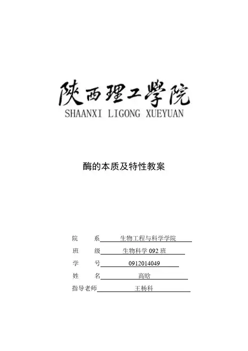 酶的本质及特性教案