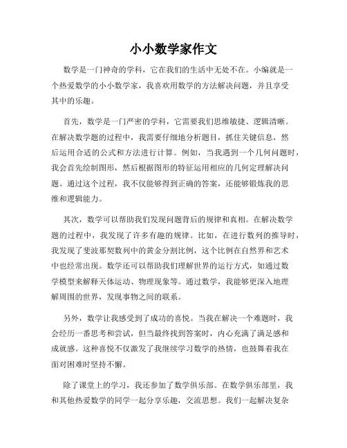 小小数学家作文