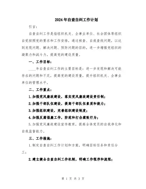 2024年自查自纠工作计划