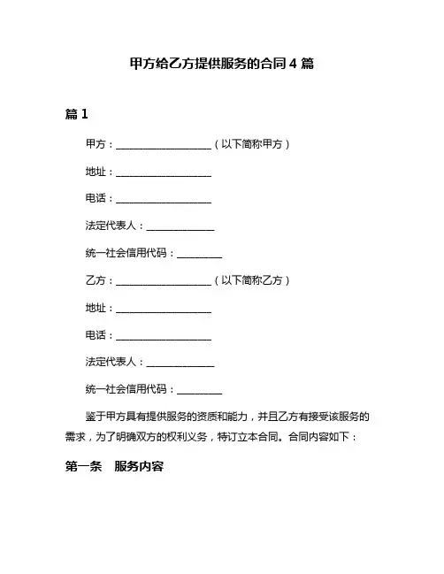 甲方给乙方提供服务的合同4篇