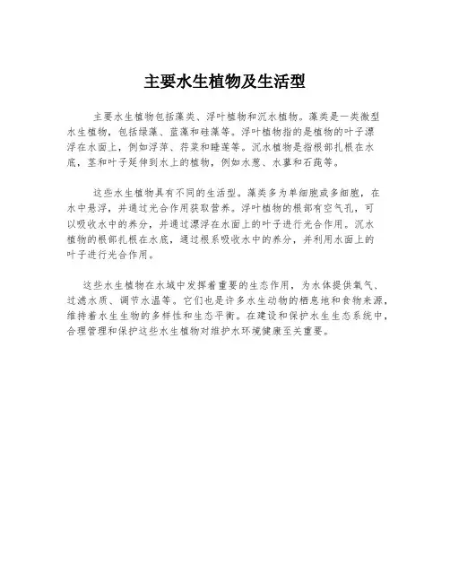 主要水生植物及生活型