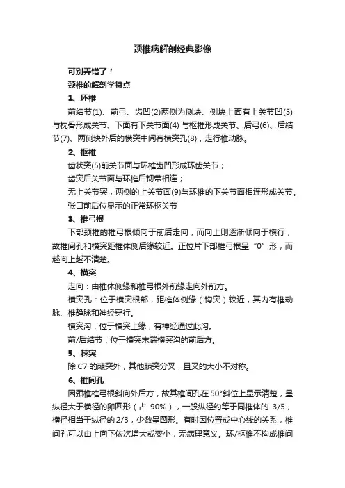 颈椎病解剖经典影像
