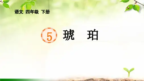 《琥珀》PPT课件