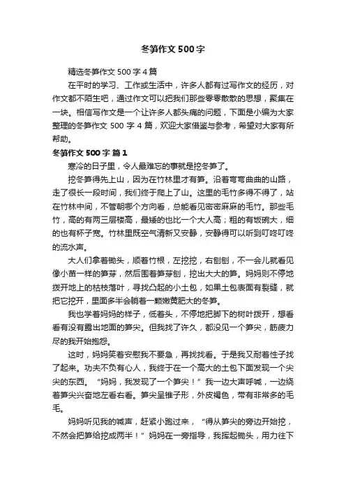 精选冬笋作文500字4篇