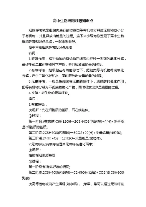 高中生物细胞呼吸知识点