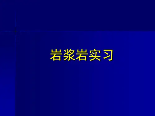 地质大矿物学实习课件03岩浆岩实习