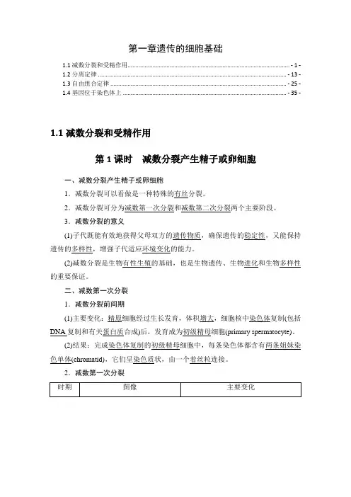 新教材苏教版高中生物必修2 第一章遗传的细胞基础 知识点考点重点难点提炼汇总